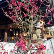 ヒメ日記 2026/02/15 16:00 投稿 かおるこ 即トク奥さん