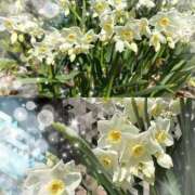 ヒメ日記 2026/03/25 12:20 投稿 かおるこ 即トク奥さん