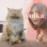 ヒメ日記 2026/01/21 17:47 投稿 ゆいか トリプルA