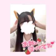 ヒメ日記 2024/12/30 15:16 投稿 もか 土浦ビデオdeはんど