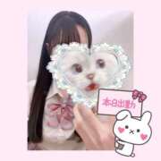 ヒメ日記 2025/02/26 14:46 投稿 もか 土浦ビデオdeはんど