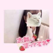 ヒメ日記 2025/03/14 14:46 投稿 もか 土浦ビデオdeはんど