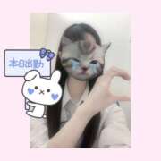 ヒメ日記 2025/04/20 10:26 投稿 もか 土浦ビデオdeはんど