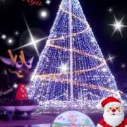 ヒメ日記 2024/12/24 11:06 投稿 木本亜矢 五十路マダム 松山店（カサブランカグループ）