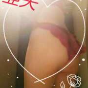 ヒメ日記 2025/03/11 12:22 投稿 木本亜矢 五十路マダム 松山店（カサブランカグループ）