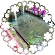 ヒメ日記 2025/07/28 11:32 投稿 木本亜矢 五十路マダム 松山店（カサブランカグループ）