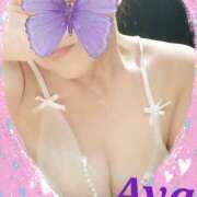 ヒメ日記 2025/11/06 15:30 投稿 木本亜矢 五十路マダム 松山店（カサブランカグループ）