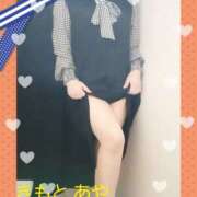 ヒメ日記 2026/02/12 11:00 投稿 木本亜矢 五十路マダム 松山店（カサブランカグループ）