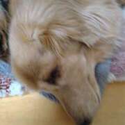 ヒメ日記 2025/01/22 19:58 投稿 るいす 熟女家 堺東店