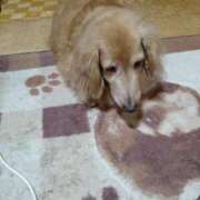 ヒメ日記 2025/06/07 14:39 投稿 るいす 熟女家 堺東店