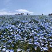 ヒメ日記 2025/05/01 18:31 投稿 せな 東京リップ 立川店