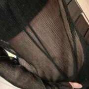 ヒメ日記 2025/11/23 09:11 投稿 ミイ ルパン