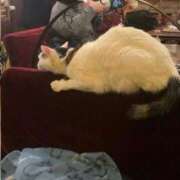 ほのか♡極上SPコース♡ ‎🤍お久しぶりです PANTHER（パンサー）