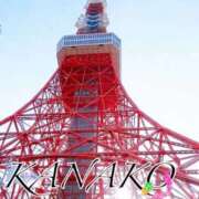 佳奈子 お久しぶりな日記❗️ 東京人妻フォーシーズンズ