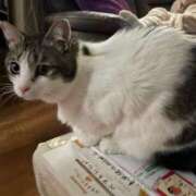 ヒメ日記 2025/03/10 21:34 投稿 しょうこ 京都人妻デリヘル倶楽部