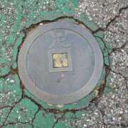 ヒメ日記 2024/12/20 20:23 投稿 にか マリン宇都宮店