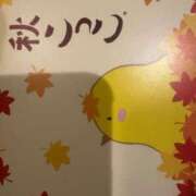 ヒメ日記 2024/09/28 11:24 投稿 ゆきな コスパラ