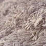 ヒメ日記 2024/12/10 22:44 投稿 ゆり エレガンス(広島)