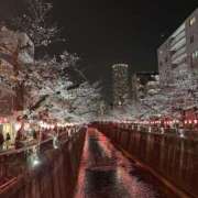 ヒメ日記 2025/03/29 01:41 投稿 こな One More奥様　横浜関内店