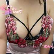 ヒメ日記 2026/07/25 12:17 投稿 めい 巨乳痴女専門店 萌えの隣人 新宿店