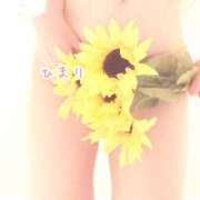 ひまり おはようございます🌻 TSUBAKI（水戸）