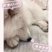 ヒメ日記 2025/02/26 00:04 投稿 なの クラスメイト