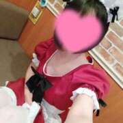 ヒメ日記 2025/04/09 11:30 投稿 白井　ゆき メイドin西川口（埼玉ハレ系）