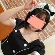 白井 ゆき 来週のお給仕予定♡ メイドin西川口(埼玉ハレ系)