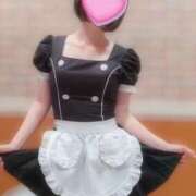 白井　ゆき 来週のお給仕予定♡ メイドin西川口（埼玉ハレ系）