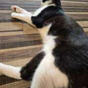 ヒメ日記 2025/09/20 07:07 投稿 環　いろは メイドin西川口（埼玉ハレ系）