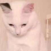 ヒメ日記 2026/04/28 09:45 投稿 環　いろは メイドin西川口（埼玉ハレ系）