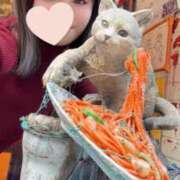 ヒメ日記 2025/11/07 22:02 投稿 山咲　みゆ メイドin西川口（埼玉ハレ系）