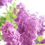 ヒメ日記 2025/05/10 07:10 投稿 あゆ 梅田アバンチュール