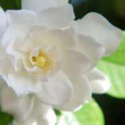 ヒメ日記 2025/06/07 06:57 投稿 あゆ 梅田アバンチュール