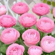 ヒメ日記 2025/06/09 20:22 投稿 あゆ 梅田アバンチュール