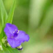 ヒメ日記 2025/06/15 06:32 投稿 あゆ 梅田アバンチュール