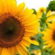 ヒメ日記 2025/07/02 19:24 投稿 あゆ 梅田アバンチュール