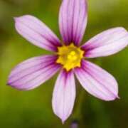 ヒメ日記 2025/07/05 06:28 投稿 あゆ 梅田アバンチュール