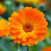 ヒメ日記 2025/07/19 06:26 投稿 あゆ 梅田アバンチュール