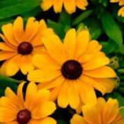 ヒメ日記 2025/07/21 05:25 投稿 あゆ 梅田アバンチュール