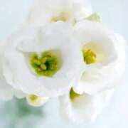 ヒメ日記 2025/07/29 06:48 投稿 あゆ 梅田アバンチュール