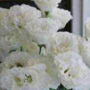 ヒメ日記 2025/07/30 06:52 投稿 あゆ 梅田アバンチュール