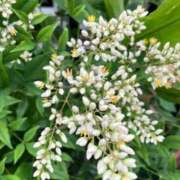 ヒメ日記 2025/08/21 06:37 投稿 あゆ 梅田アバンチュール