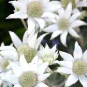 ヒメ日記 2025/08/23 06:42 投稿 あゆ 梅田アバンチュール