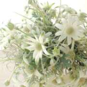 ヒメ日記 2025/08/27 06:59 投稿 あゆ 梅田アバンチュール