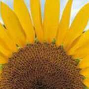 ヒメ日記 2025/09/01 15:43 投稿 あゆ 梅田アバンチュール