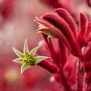 ヒメ日記 2025/09/02 06:39 投稿 あゆ 梅田アバンチュール