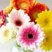 ヒメ日記 2025/09/04 06:51 投稿 あゆ 梅田アバンチュール