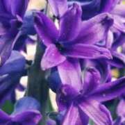 ヒメ日記 2025/09/04 09:29 投稿 あゆ 梅田アバンチュール