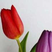 ヒメ日記 2025/09/09 07:23 投稿 あゆ 梅田アバンチュール